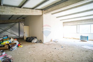 Hala de 400mp de închiriat în Zona Industrială - Metro - Iași anunturi imobiliare Iasi