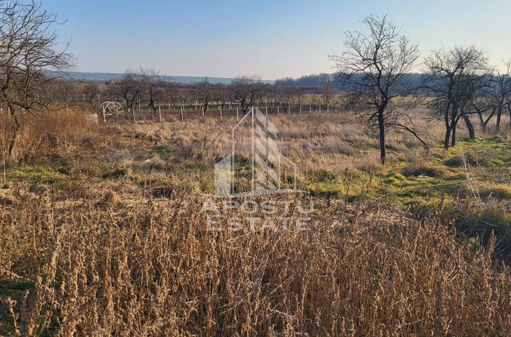 Teren de  3844 mp cu proiect autorizat pt casa individuala,in Pischia anunturi imobiliare Timis