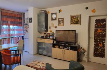 Apartament 2 camere de vanzare CENTRAL - Timis anunturi imobiliare Timis