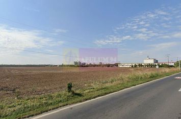 Teren extravilan de vanzare DN1 Paulesti (zona Movila Vulpii) anunturi imobiliare Prahova