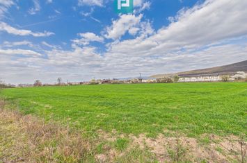 Teren extravilan, 1 ha, în orașul Sebiș, Arad anunturi imobiliare Arad