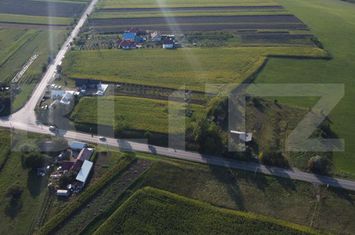 Teren de vanzare RADAUTI - Suceava anunturi imobiliare Suceava
