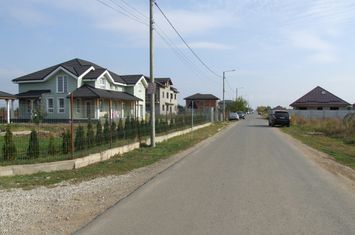 Teren Intravilan de vanzare DOMNESTI - Bucuresti anunturi imobiliare Bucuresti