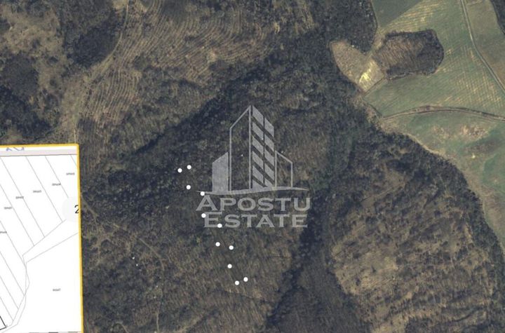 Teren Cuied – Livada 5400 mp anunturi imobiliare Arad