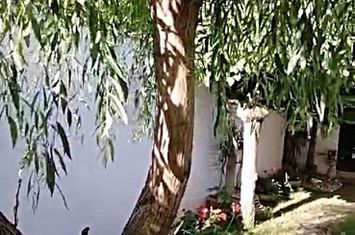 Vanzare casa renovata 2 camere curte proprie foisor Cotroceni anunturi imobiliare Bucuresti