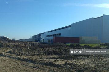 Spațiu industrial de inchiriat DRAGOMIRESTI-VALE - Bucuresti anunturi imobiliare Bucuresti