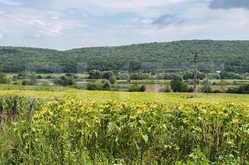 Casă - 4 camere de vanzare SCHITU DUCA - Iasi anunturi imobiliare Iasi