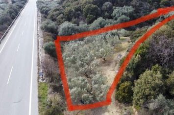 Teren 1128.26 mp, 80 metri de plajă, Mirtofito anunturi imobiliare Grecia