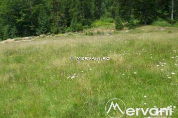 Teren Intravilan de vanzare AZUGA - Prahova anunturi imobiliare Prahova