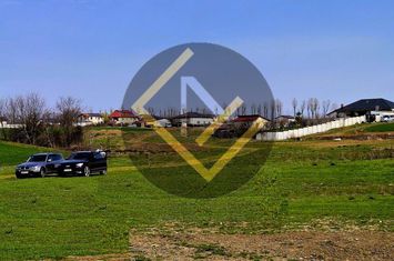 Teren INTRAVILAN pe malul Lacului Moara Domneasca Ganeasa deschidere la apa anunturi imobiliare Bucuresti
