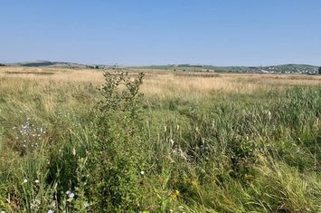 Teren de vanzare SIBIU - Sibiu anunturi imobiliare Sibiu