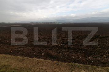 Teren de vanzare ALBA IULIA - Alba anunturi imobiliare Alba