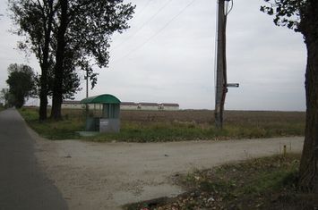 Domnesti-Teghes anunturi imobiliare Bucuresti