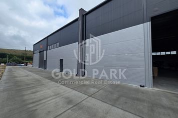 Spatiu Industrial - Autoriztie ISU - 590 mp. Acces TIR anunturi imobiliare Cluj