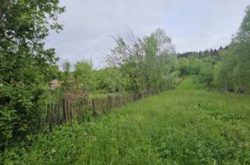 Teren de vanzare VALEA DOFTANEI - Prahova anunturi imobiliare Prahova