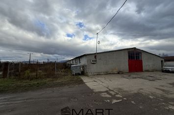 Spațiu industrial de vanzare PREJMER - Brasov anunturi imobiliare Brasov