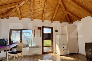 Garsonieră de inchiriat CHINTENI - Cluj anunturi imobiliare Cluj