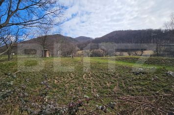 Teren de vanzare CUGIR - Alba anunturi imobiliare Alba