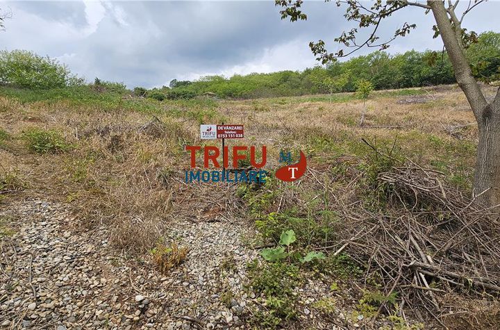 Teren Intravilan de vanzare CENTRAL - Alba anunturi imobiliare Alba