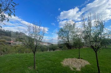 Teren de vanzare PACLISA - Alba anunturi imobiliare Alba