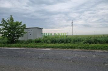 Teren 5.000 mp intravilan industrial - Frumusani DN 4 anunturi imobiliare Calarasi