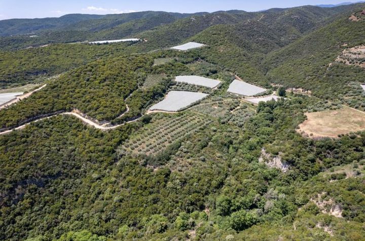 Teren 16358 mp în Folia, la 2 km de plajă anunturi imobiliare Grecia