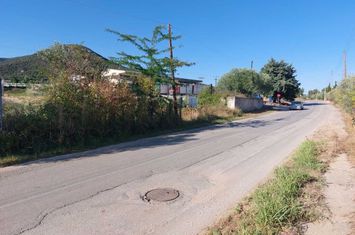 Teren construibil 7.400 mp – Mirtofito, Kavala anunturi imobiliare Grecia
