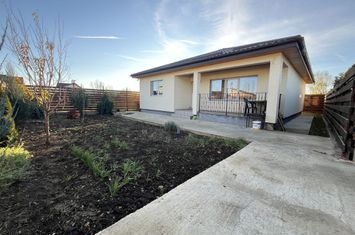 Glina stadion casa parter 4 camere anunturi imobiliare Bucuresti