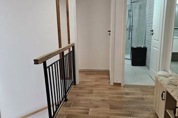 Apartament 1 camera de inchiriat in vila, zona Centru-Primarie anunturi imobiliare Iasi