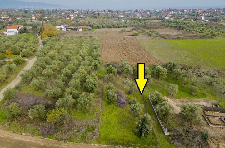 Teren construibil 800 mp, Paralia Vrasnon anunturi imobiliare Grecia