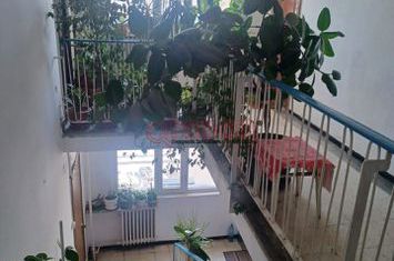 Alexandru Obregia - Berceni - 2 camere - centrala anunturi imobiliare Bucuresti