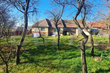 Teren de vanzare CLUJ-NAPOCA - Cluj anunturi imobiliare Cluj