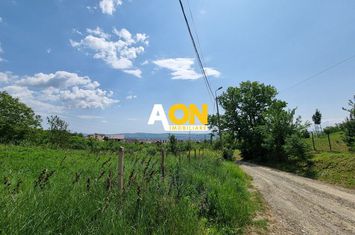 De vanzare 998 mp teren intravilan, Cetate anunturi imobiliare Alba