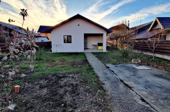 Casă - 4 camere de inchiriat VALEA URSULUI - Iasi anunturi imobiliare Iasi