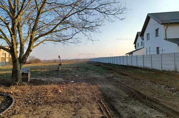 Teren Intravilan de vanzare SABARENI - Giurgiu anunturi imobiliare Giurgiu