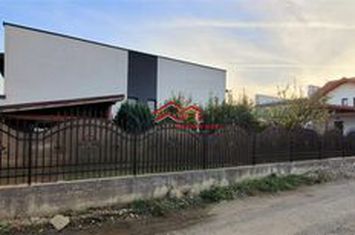 Vilă - 4 camere de inchiriat SELIMBAR - Sibiu anunturi imobiliare Sibiu