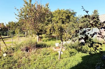 Casă de vânzare în Biharia anunturi imobiliare Bihor