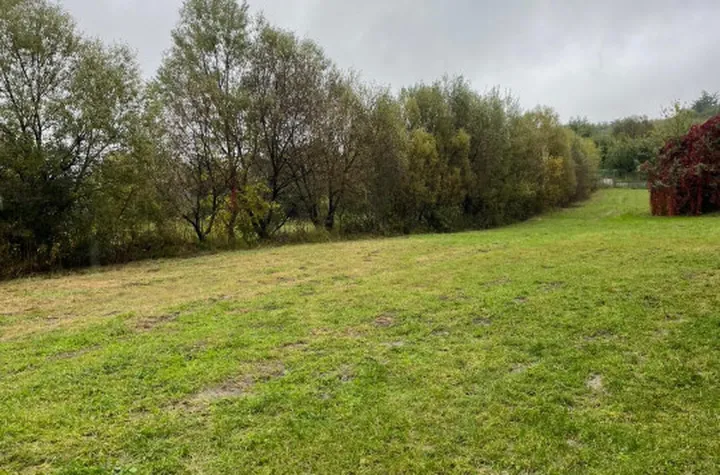 Teren de vanzare SEBESU DE SUS - Sibiu anunturi imobiliare Sibiu
