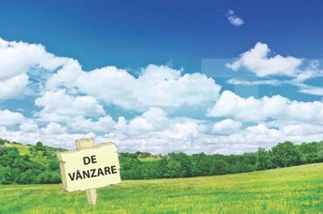 Teren de vanzare MOSNITA NOUA - Timis anunturi imobiliare Timis