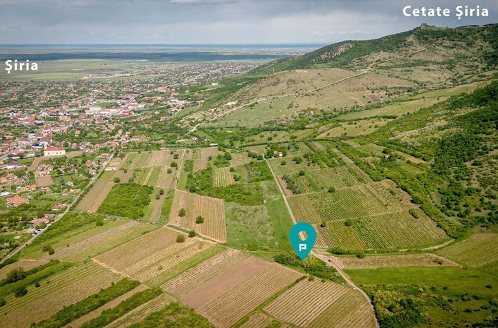 Teren extravilan - 3654 mp Dealul Șiriei anunturi imobiliare Arad