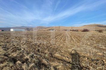 Teren de vanzare SARD - Alba anunturi imobiliare Alba