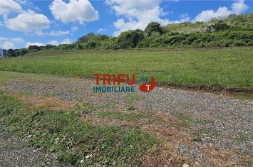 Teren Intravilan de vanzare CETATE - Alba anunturi imobiliare Alba