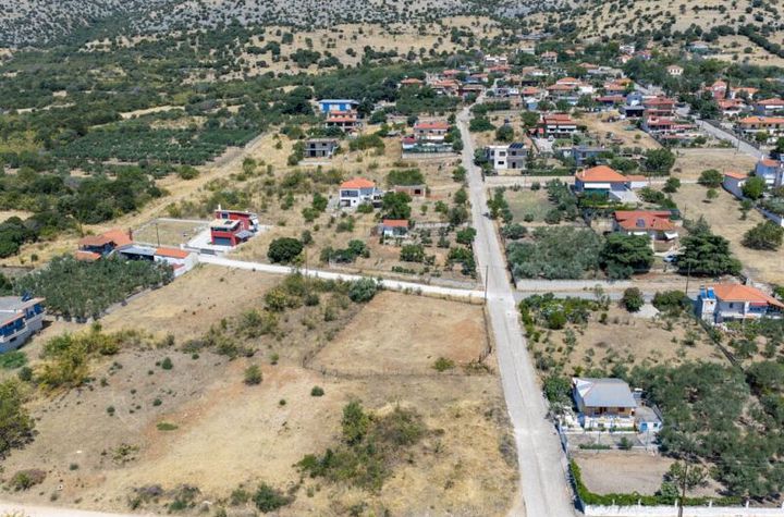 Teren intravilan 891,20 mp în Vrisoula anunturi imobiliare Grecia