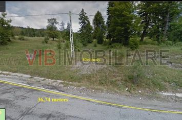 Sinaia | Teren intravilan 5.000 mp | DN71 | Cota 1000 anunturi imobiliare Prahova