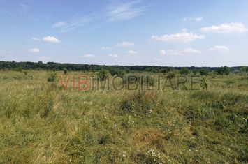 Baneasa - Piscul Reghiului, teren intravilan, suprafata 727 mp anunturi imobiliare Bucuresti