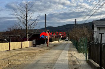 Casă - 3 camere de vanzare POIANA CAMPINA - Prahova anunturi imobiliare Prahova