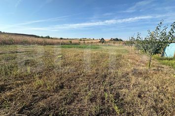 Teren de vanzare OARDA - Alba anunturi imobiliare Alba