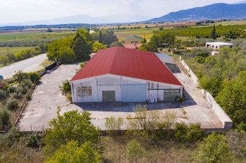 Spațiu industrial 1.000 mp pe teren 3.000 mp anunturi imobiliare Grecia