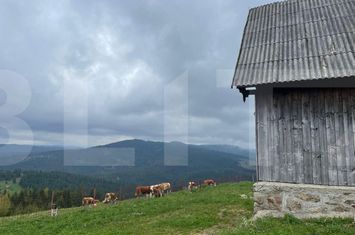 Casă - 3 camere de vanzare BELIS - Cluj anunturi imobiliare Cluj