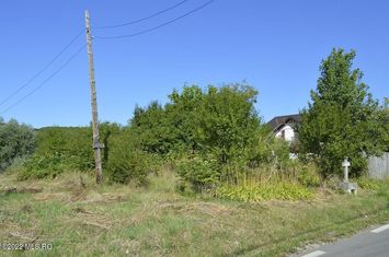 Teren Intravilan de vanzare MOSOAIA - Arges anunturi imobiliare Arges